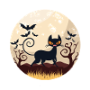 Tonight Is The Night
