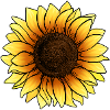 Aquarelle Tournesol