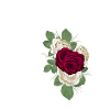 letter S flowered