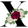letter X flowered