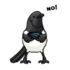 Magpie Bird Bird Lovers