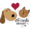 Chien et chat