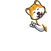 Akita Inu Dog