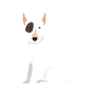 dog on skateboard