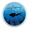 Shark Diver