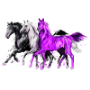 pferde