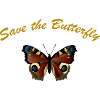 butterfly 3 by Miria