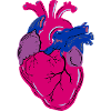 Bisexual Pride Heart Bisexual Gift