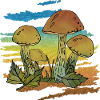 Fungi