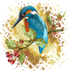 Bunter Vogel