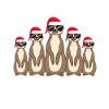 Meerkat Group Christmas Gift Idea