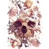 Skull with roses