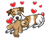 Chien Kromfohrländer avec peluche