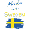 Swedish flag Sweden