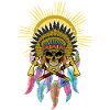 Dream Catcher Skull Chief
