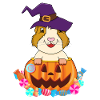 Cute Guinea Pig Pumpkin Halloween