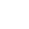 Nazis Raus