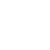 Nazis Raus