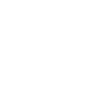 Nazis Raus