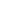 Nazis Raus