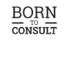 "IT-Consultant Born | IT-Beratung"
