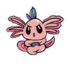 Salamandre amphibienne Axolotl