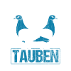 Taube Tauben Vogel