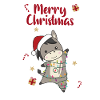 Donkeys Christmas Donkeys Winter Animals