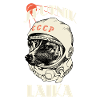 Sputnik Laika SSSR Gagarin Soviet