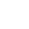 Constellation Penguin Constellation Seabird