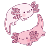 Cute Axolotls Yin Yang