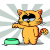 Cat claims food !