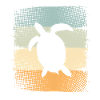 Tortue
