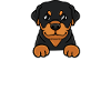 Rottweiler Dog Pocket Shirt Sac