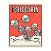 Champignon Mycologie Psilocybine Hallucinogène Magie