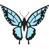Schmetterling
