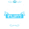 Der Notfallsanitäter