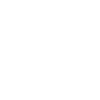 Calligraphie, initiale L