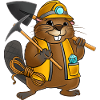 Mining Engineer