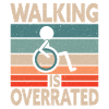 Camminare è così overated Wheelchair Handicap