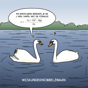 Evert Kwok cartoon 'Wiskundeknobbelzwaan'