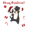 Bouvier bernois Joyeux Noël Chiens