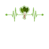 rhubarbe