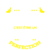 MICHEL PARFAIT - NOM MICHEL