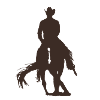 Spin - Cowboy