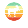 Elch