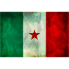 T-shirt partisan flag Garibaldi brigades
