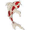 Koi fish