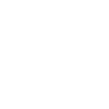 Intelligenztest