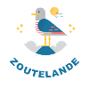 Möwe Zoutelande